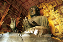 奈良のシンボル、雄大な大仏